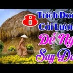 8 Trích Đoạn Cải Lương Chọn Lọc Dễ Nghe Mà Cũng Dễ Ngủ Quá Ngọt, Quá Sâu Lắng – Hay Nhất Trước 1975