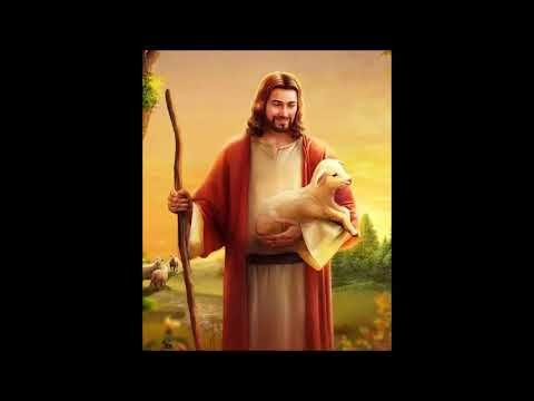 CHÚA ĐÃ CHỌN CON – (st : Ngọc Linh)